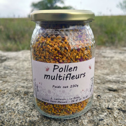 Pollen Multifleurs