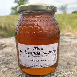 Miel de Lavande sauvage